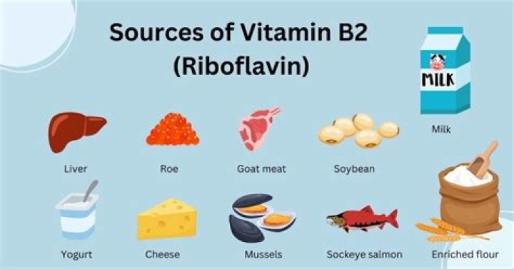 What is riboflavin used for