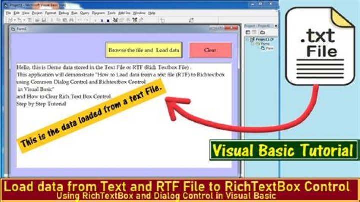 What is Rich Text Box in VB