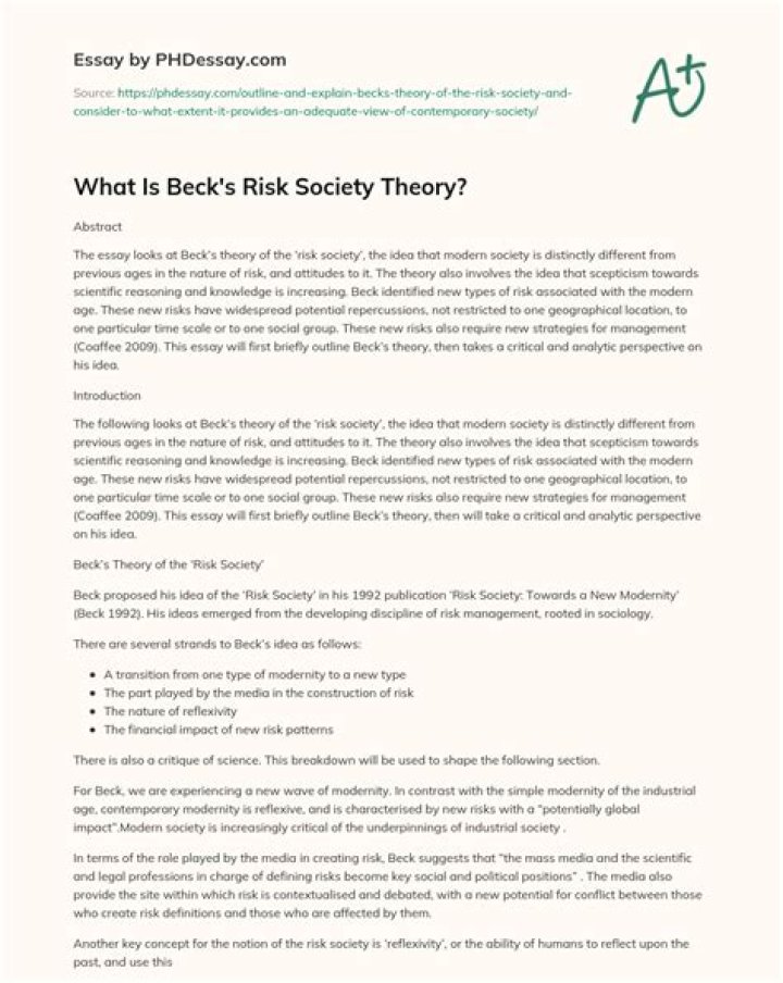 What is risk society theory