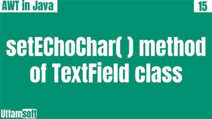 What is setEchoChar in Java