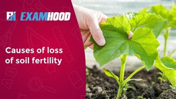 What is soil fertility loss