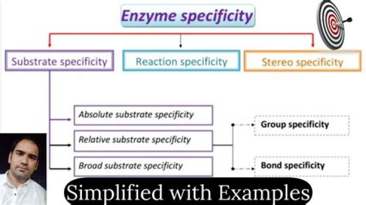 What is specificity example