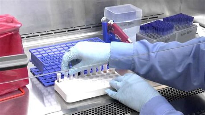 What is specimen processing