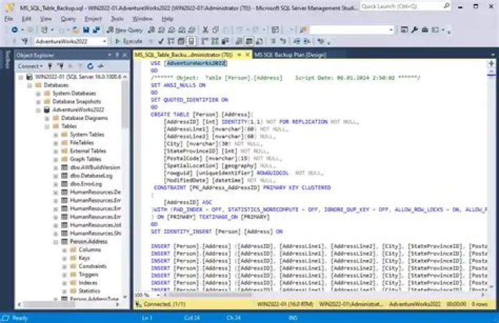 What is SQL database backup