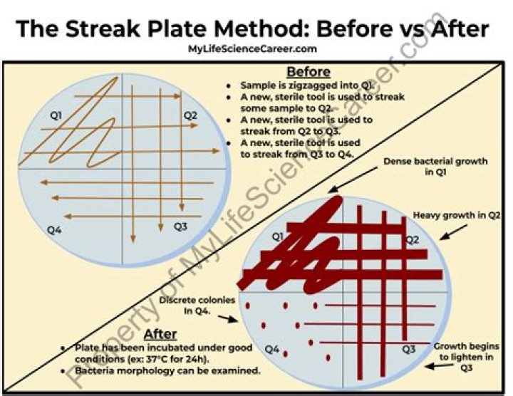 What is streaking method