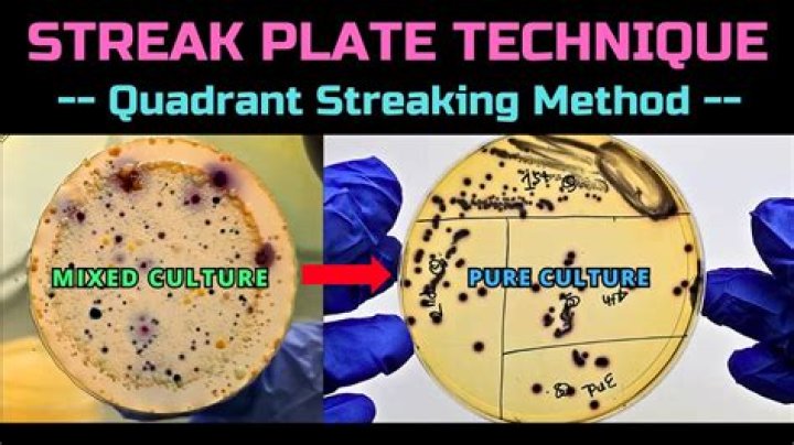 What is streaking technique