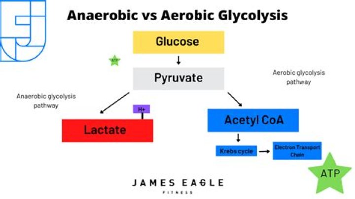 What is the anaerobic glycolysis system