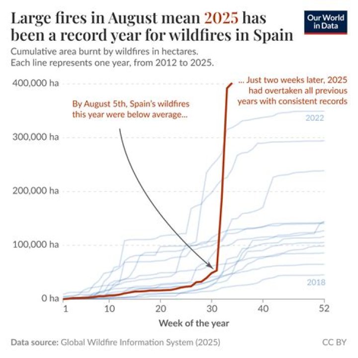 What is the average size of a wildfire
