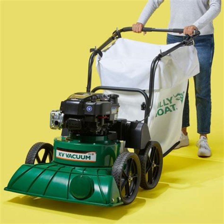 What is the best lawn vacuum