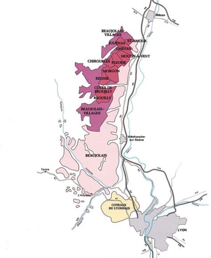 What is the difference between Beaujolais and Burgundy