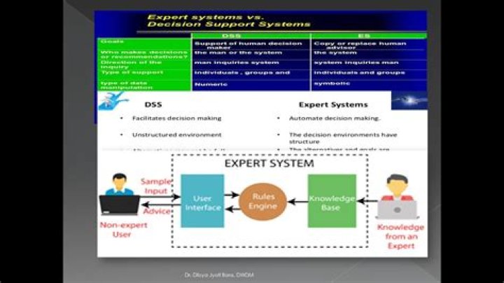What is the difference between expert system and decision support system
