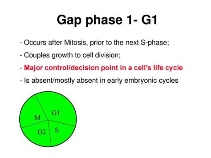 What is the first gap phase