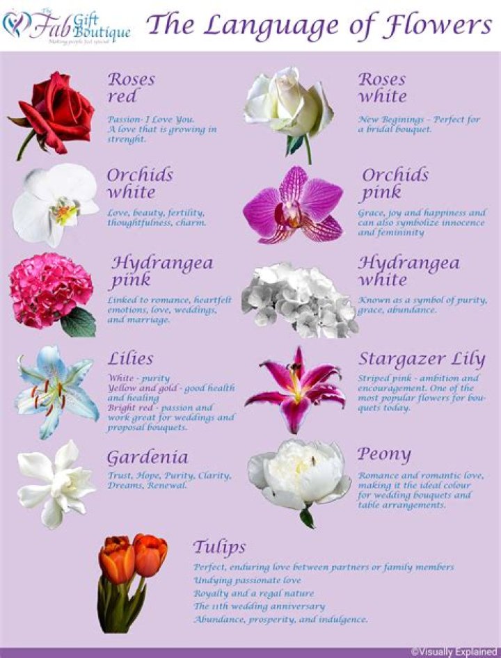 What is the flower language