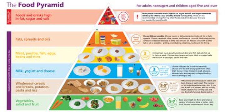 What is the food pyramid guide