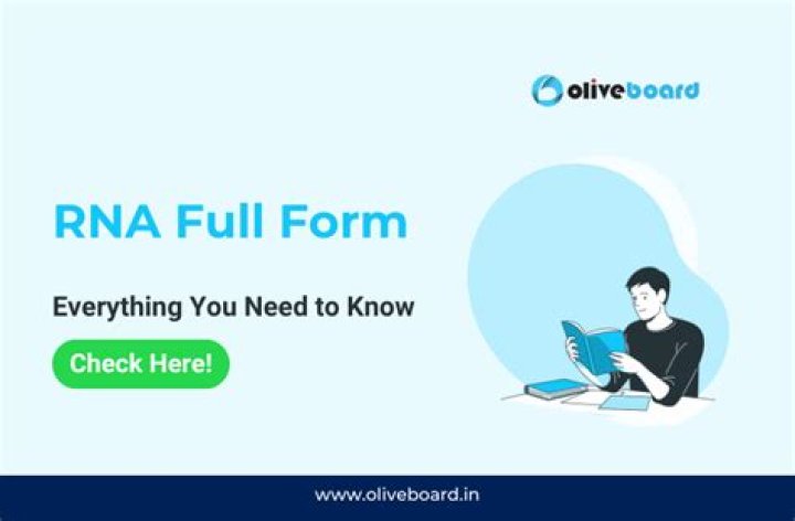 What is the full form of WG