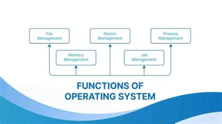 What is the function of systems advocacy