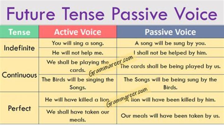 What is the future passive