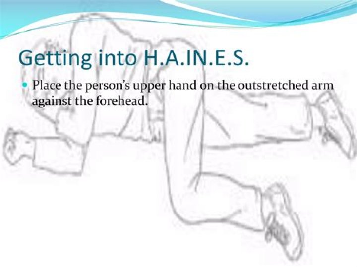 What is the Haines position