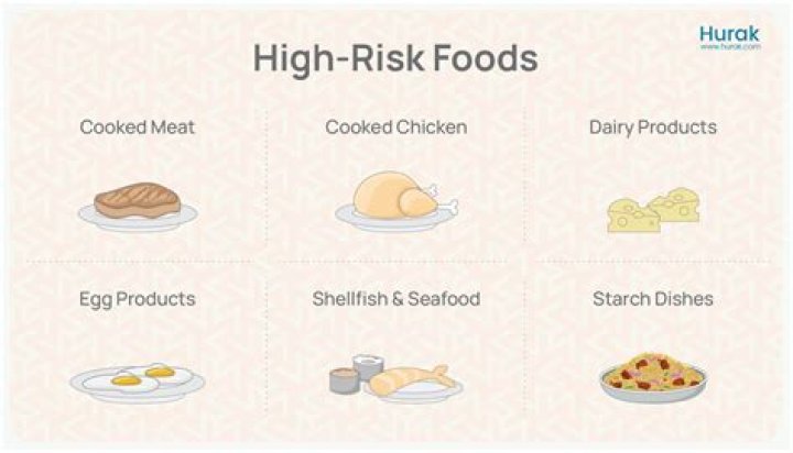 What is the high risk food
