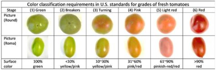 What is the highest USDA grade for fresh fruit