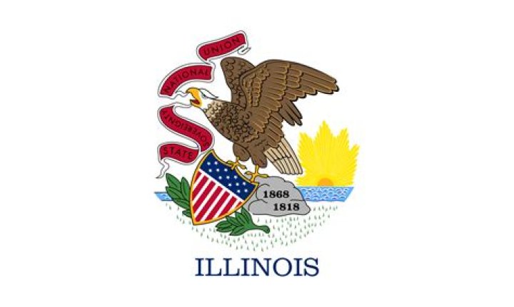 What is the Illinois state flag look like