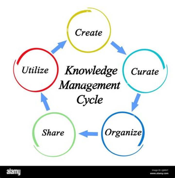 What is the knowledge cycle
