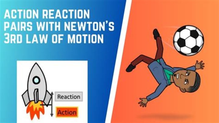 What is the law of reaction