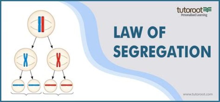 What is the law segregation
