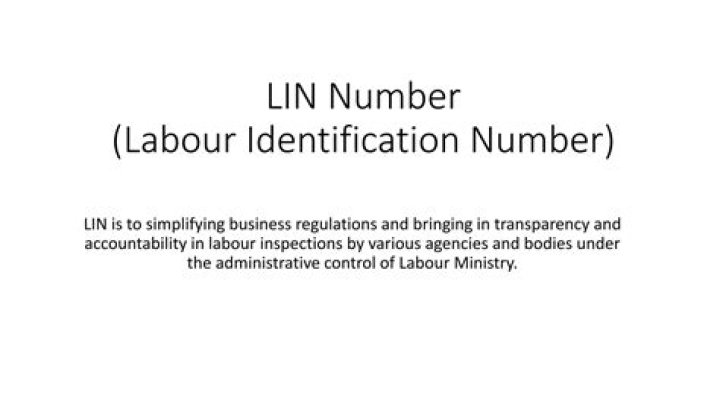 What is the LIN number Army
