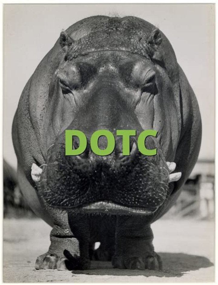 What is the meaning of DOTC