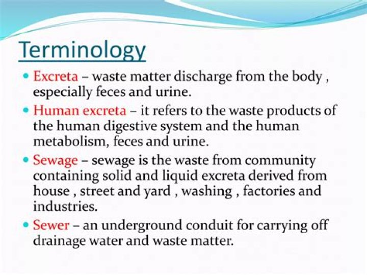What is the meaning of human excreta and sewage