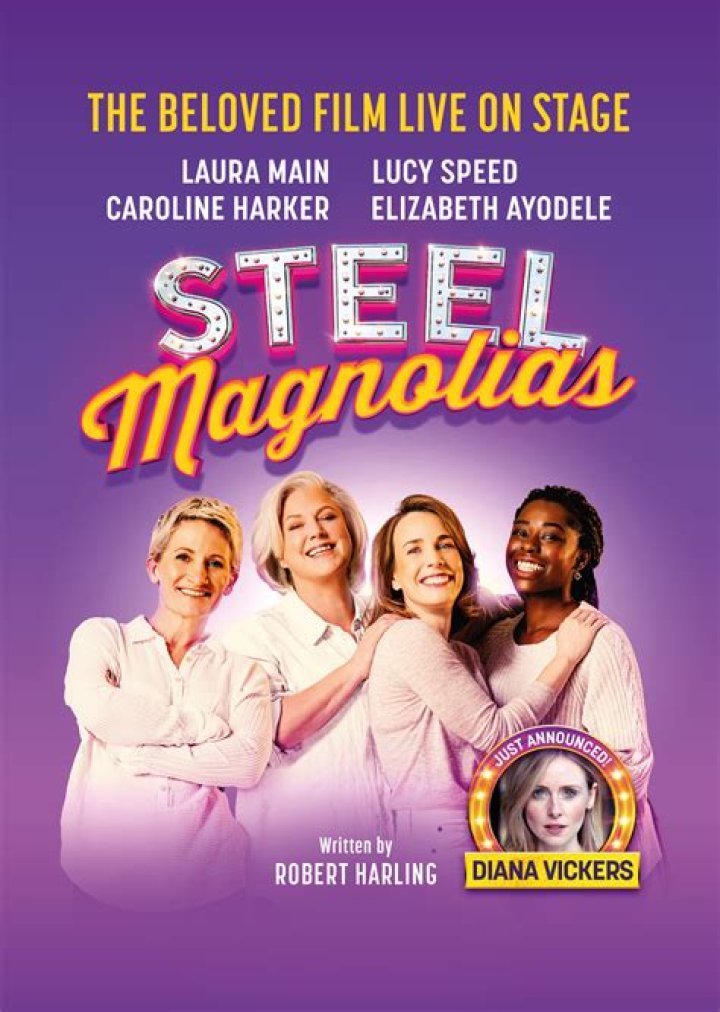 What is the meaning of Steel Magnolias