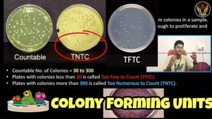 What is the meaning of TNTC