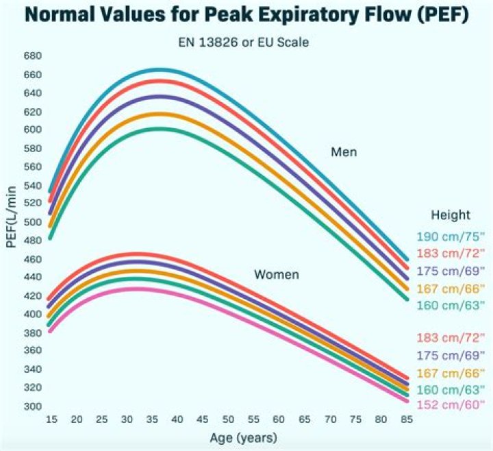 What is the normal peak flow rate for adults