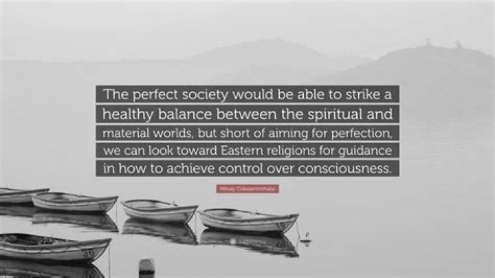 What is the perfect society