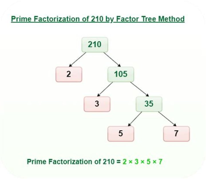 What is the prime factor of 242
