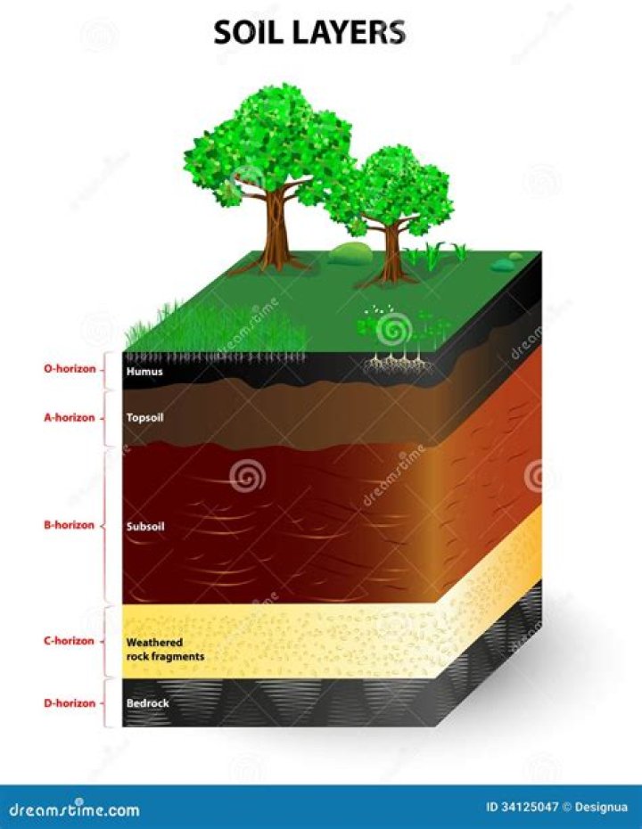 What is the profile of soil