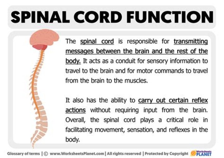 What is the purpose of Cor