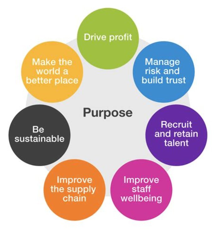 What is the purpose of service environment
