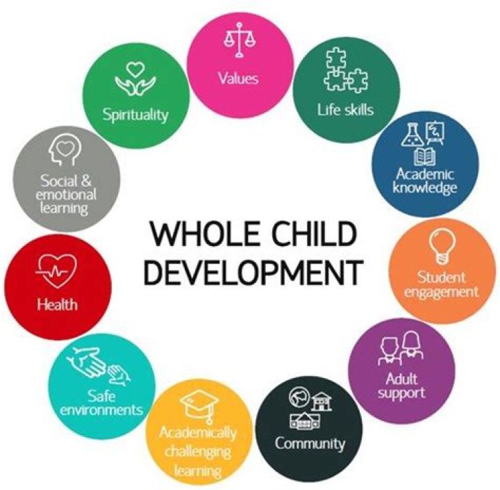 What is the purpose of whole child approach to child development