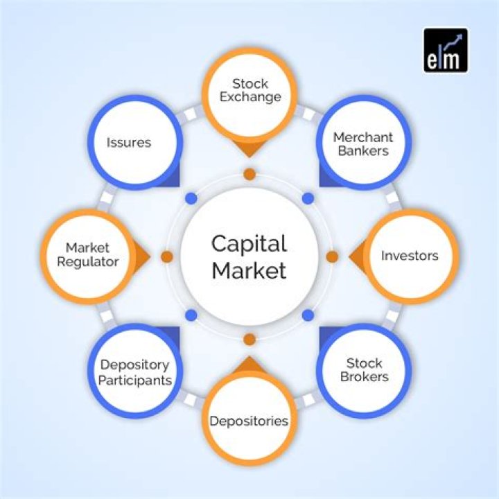 What is the role of capital