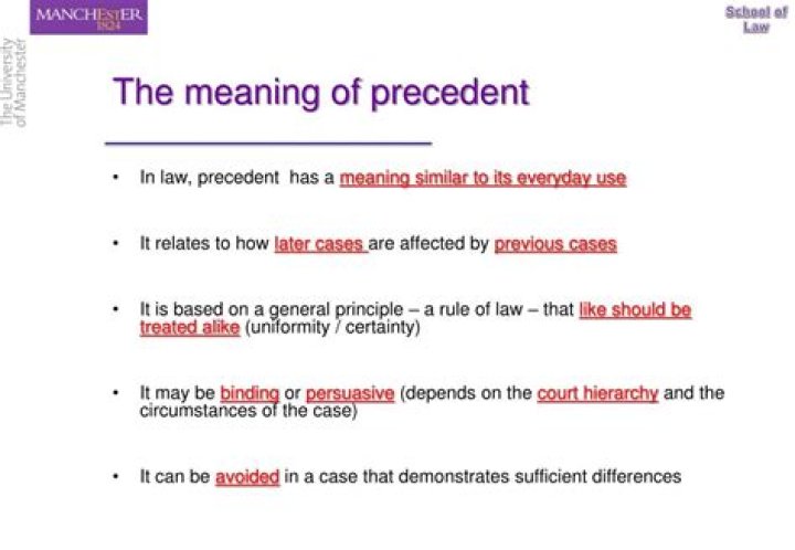 What is the role of precedent in court cases