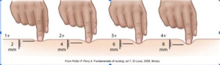 What is the role of the PTA