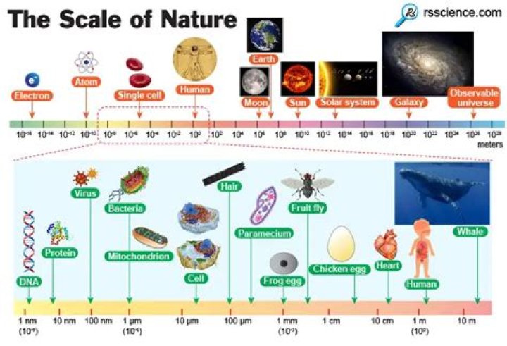What is the scale of nature