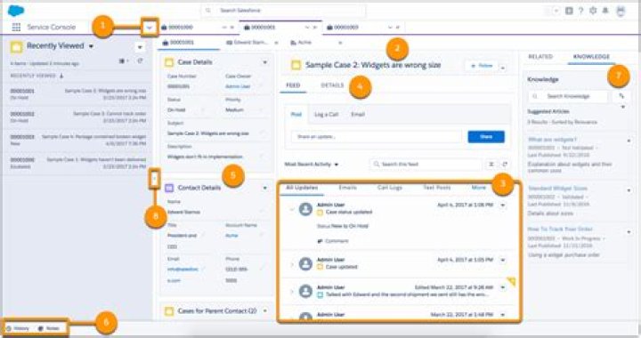 What is the service console