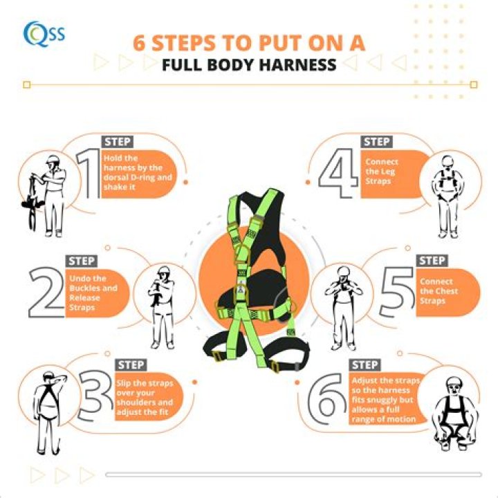 What is the step in harness