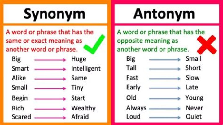 What is the synonym of army