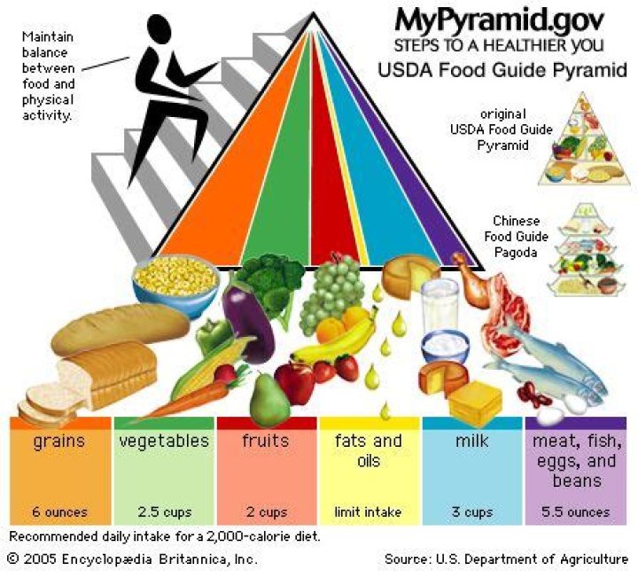 What is the USDA MyPyramid