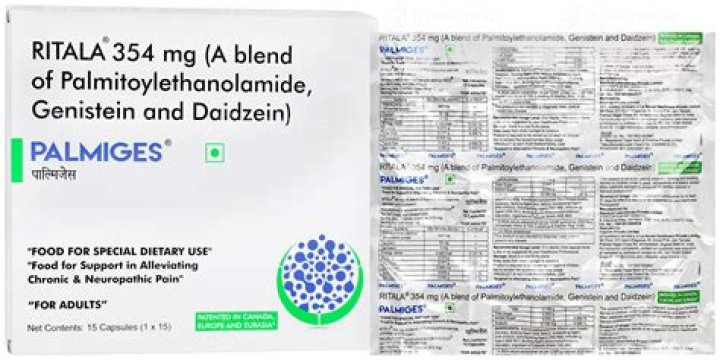 What is the use of Palmiges