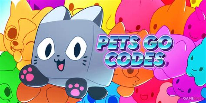 What is the use of PET exam